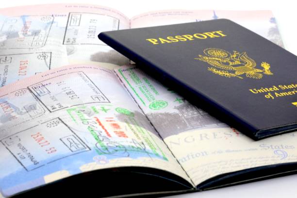 From Sleepless Nights to First-Class Tickets: How I Finally Got My Visa and Dream Job Overseas